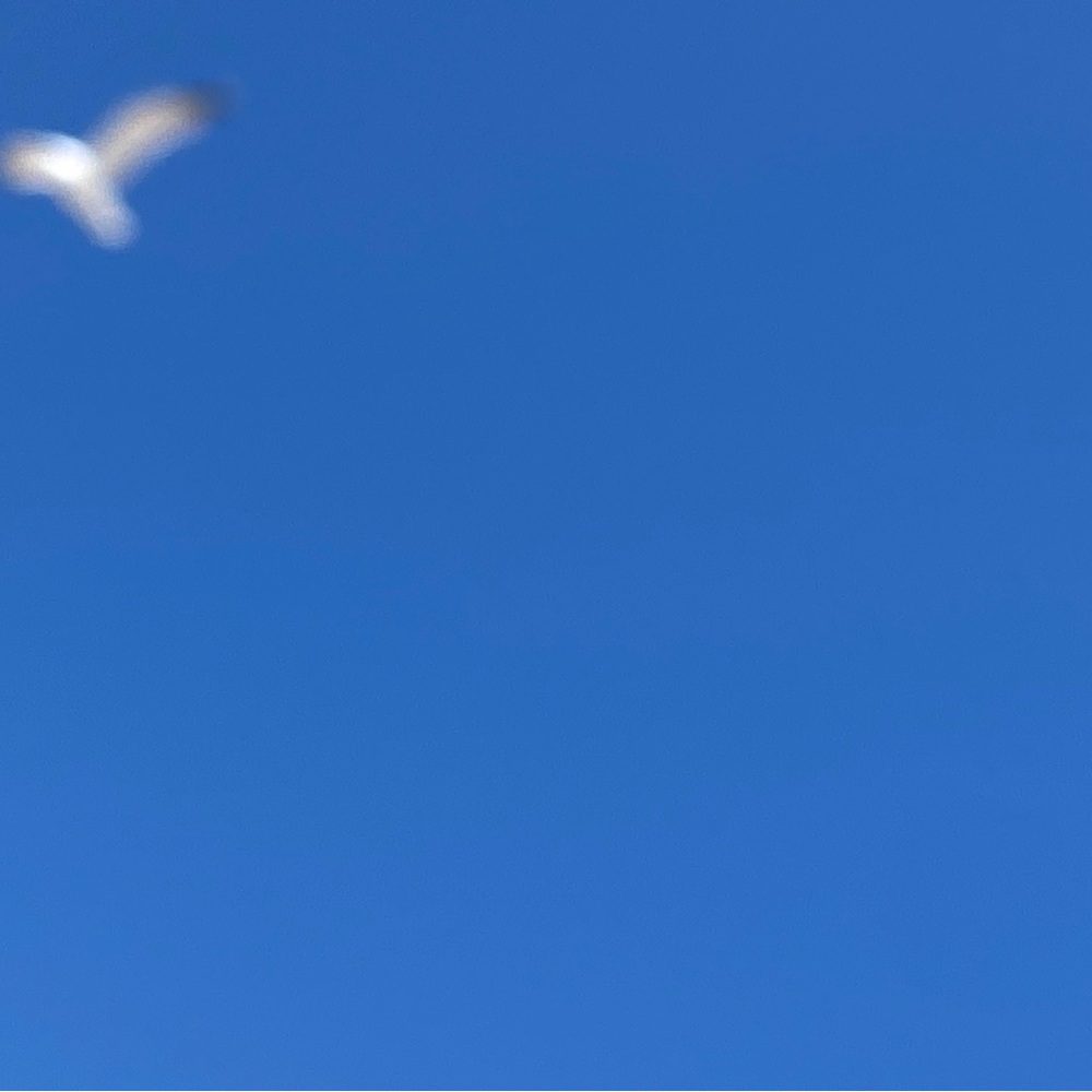 Meet your Posher, Starkey